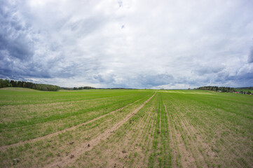 Fototapeta na wymiar Cloudy sky over huge green field.