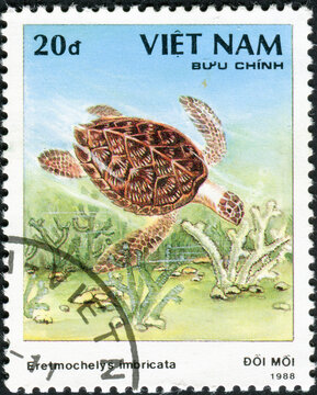 VIETNAM - CIRCA 1988 : A stamp printed by Vietnam shows a series of images "Types of turtles"