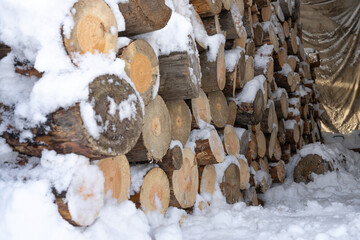 Chopped pine firewood are stacked and are covered with snow