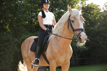 Young woman in equestrian suit riding horse outdoors on sunny day. Beautiful pet