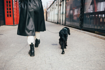 Young fashionable woman walks her dog black cocker spaniel