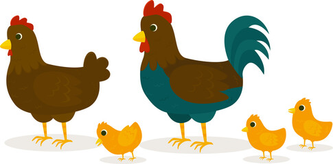 Brown hen with yellow chicks and a rooster. Vector illustration in flat style