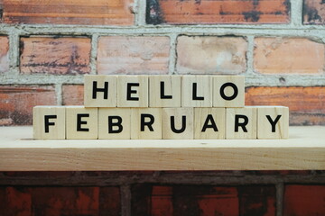 Fototapeta na wymiar Hello February alphabet letter on shelves wooden background
