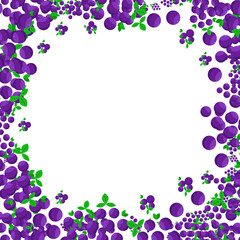 vine frame, beautiful devine frame, beautiful decoration for wedding grapes, purple ripe berries