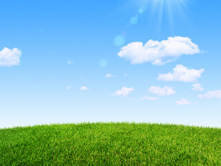 Obraz na płótnie Canvas green grass field in summer background