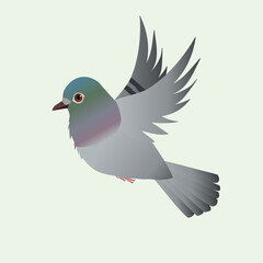 
Flying Common wood pigeon illustration on a light blue background