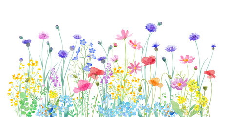 色々の花が咲き乱れる、春の野原の水彩イラスト。
