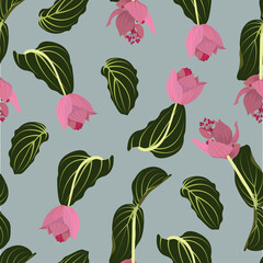 pattern with tropical leaves and pink flowers medinilla magnifica