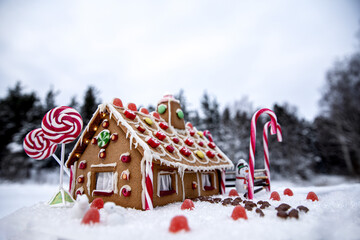 gingerbread house in the snow