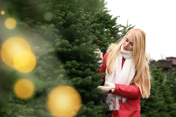 Woman choosing plants at Christmas tree farm