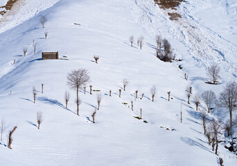 Pasiegas cabins in winter in the Valle del Miera in the Valles Pasiegos de Cantabria. Spain.Europe