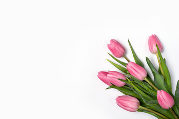 Pink tulips isolate on a white holiday banner. Floral spring background for valentine's day, March 8, birthday, mother's day. copy space