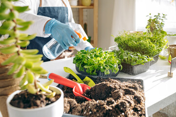 Female gardener caring for her plants indoors