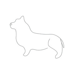 Corgi dog drawing, vector illustration