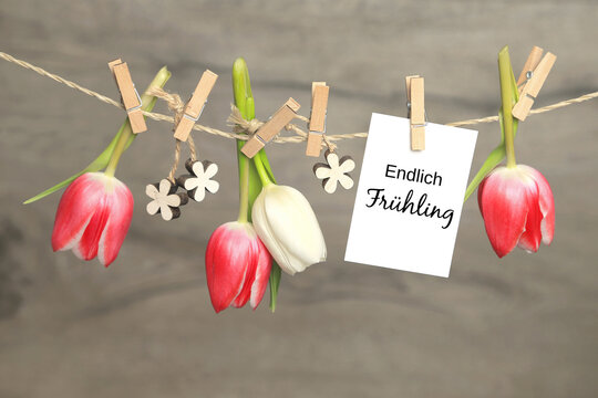 Endlich Fr&uuml;hling	
