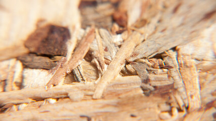 Detalle de tablero osb de conglomerado de madera natural