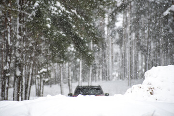 Car driving in the a fir trees forest in winter during a big snowfall, out on focus, branches of tree covered by the snow on focus 