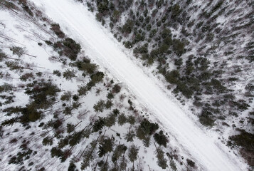 Snowy Road Through The Forest