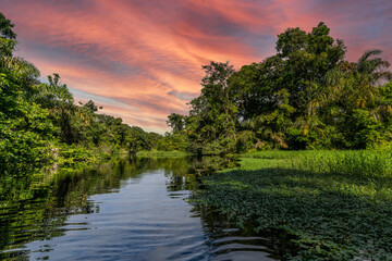 Canal in the national park of Tortuguero with its tropical rainforest along the Caribbean Coast of...