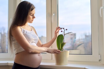 Young pregnant woman with orchid flower plant in pot at home near the window