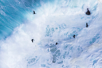 Cormorants flying over white water