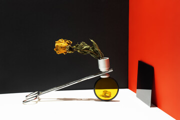Abstract yellow dried flower in metal vase over yellow glass besides black glass. Over simple geometric red black white background.