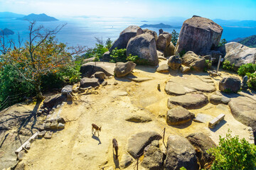 Top of Mount Misen, in Miyajima