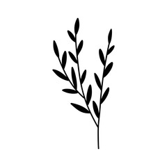 Minimalist flower line art herb. Hand drawn Icon with branch and leaves. Boho floral for logo design. Perfect for wedding invitations, cards, blogs. Vector illustration isolated on white