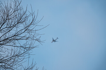 Out of focus airplane in the sky with branches in focus on the foreground