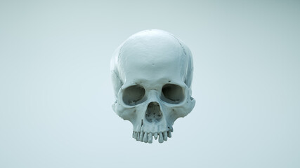Human skull with an open lower jaw on a Dark isolated background. The concept of death, immortality, eternal life, horror. Acult symbol. Spooky Halloween symbol. 3D render