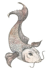 Catfish. Catfish, Japanese motifs, vintage. Catfish wish-fulfilling etching on copper . Cool print on the wall or t-shirt.