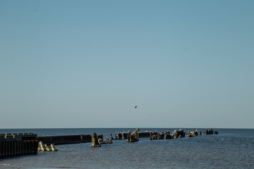 old pier with seagulls at the sea