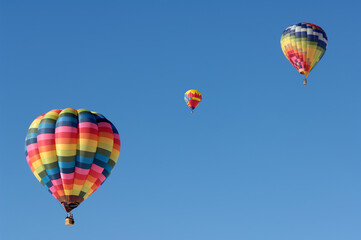 hot air balloons in the blue sky