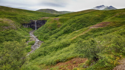 Fototapeta na wymiar Travel to Iceland. Svartifoss waterfall in the Skaftafell National Park.
