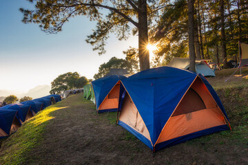Tourist Camp Tent and Terrace Under Pine Trees Forest During Sunrise, Field Campground for Camping Vacation Adventure Outdoors and Leisure Activity. Backpacking Tourism, Travel Adventures Lifestyles
