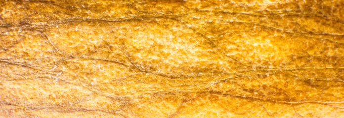 Natural texture of avocado inside. Eco background. Close up.