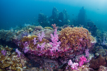 Fototapeta na wymiar underwater Lipe stonehenge Thailand at Tarutao National Park