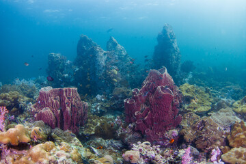 Naklejka na ściany i meble underwater Lipe stonehenge Thailand at Tarutao National Park