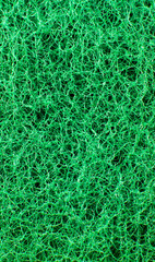 Green sponge texture background. Close up, macro photo.