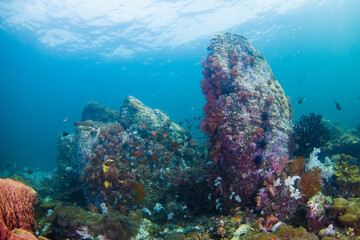 underwater Lipe stonehenge Thailand at Tarutao National Park