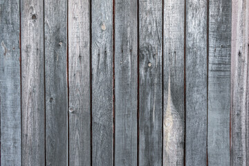 Fototapeta premium wall texture of old gray wood