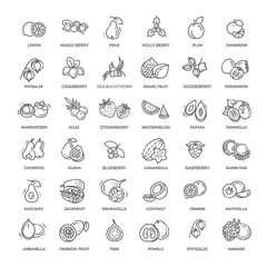 Fruits and berries vector icons. Fresh and natural ingredients
