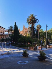 Mallorca Cathedral
