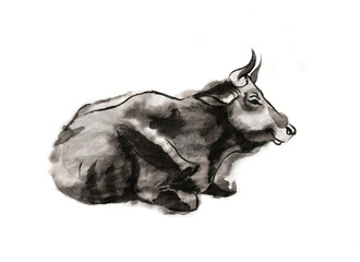 Resting cow, sumi-e illustration. Oriental ink wash painting . Symbol of the eastern new year of the Ox.