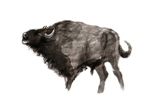 Roaring European bison, sumi-e illustration. Oriental ink wash painting . Symbol of the eastern new year of the Ox.