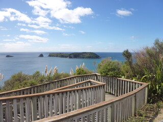 Naklejka premium the start of the hiking trail to the Cathedral Cove, Mercury Bay, Coromandel Peninsula, North Island, New Zealand, November