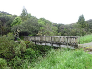 a bridge at the start of the hike in the Mangapohue Natural Bridge Scenic Reserve, Waitomo, Waikato, North Island, New Zealand, November