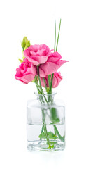 Flowers in a glass vase on a white background
