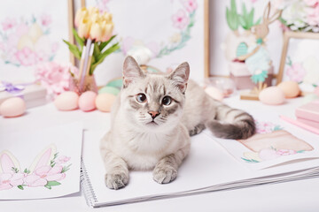 Easter cat with eggs and flowers. Gray kitten sitting on table. Spring greeting card Happy Easter....