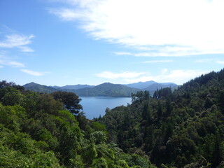 the view from a hiking trail close to the Queen Charlotte Track, in the north of the South Island, New Zealand, February